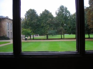 quad window view